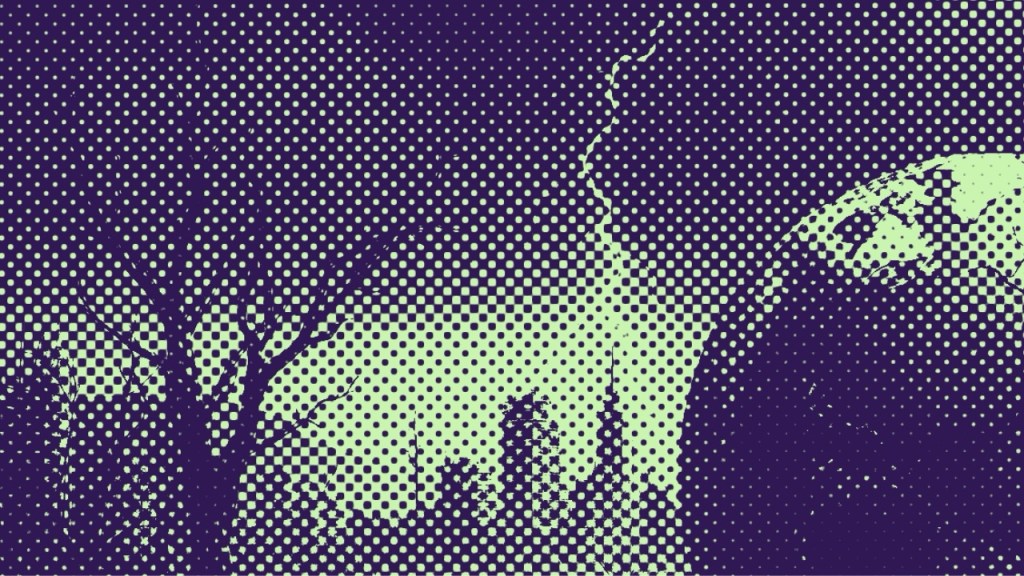 From Anthropocentrism to Ecocentrism