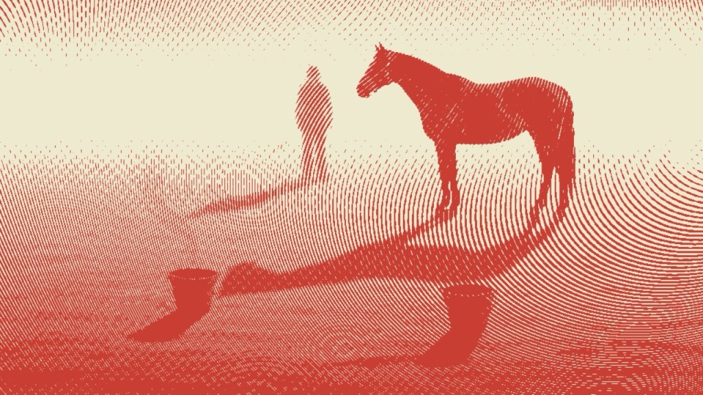 Do Horses Really Prefer Their Owners? Insights from New Behavioral Research